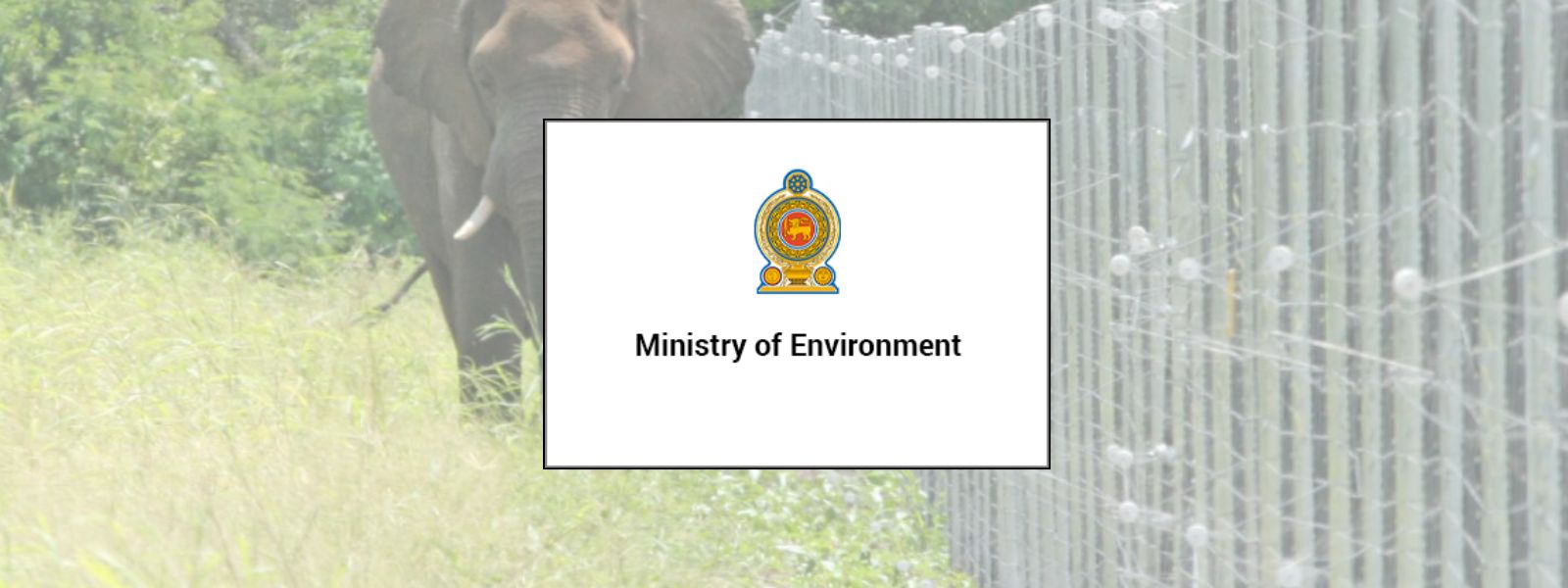 1,500 Recruitments To Protect Elephant Fences